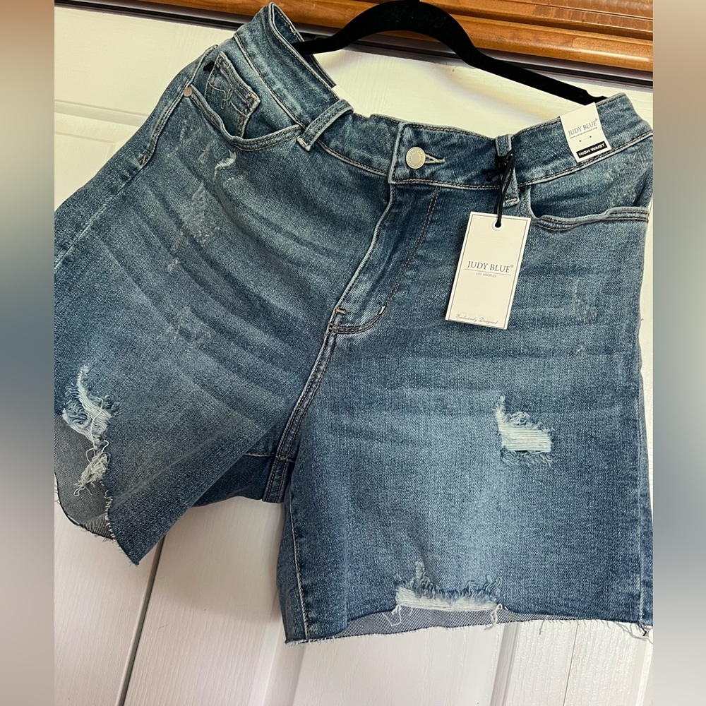 Judy Blue 1X distressed shorts